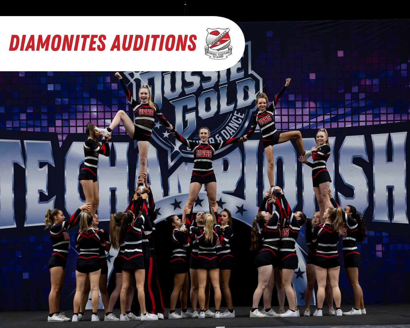 2025 Diamonites Auditions Newsletter